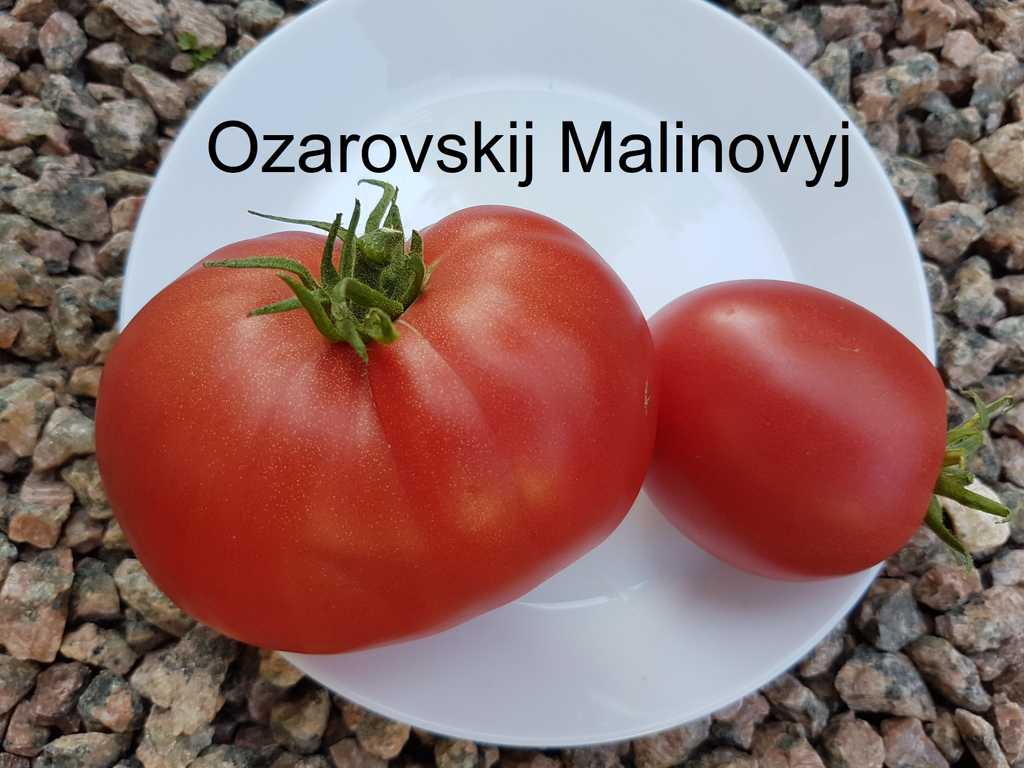 Ozarovskij Malinovyj